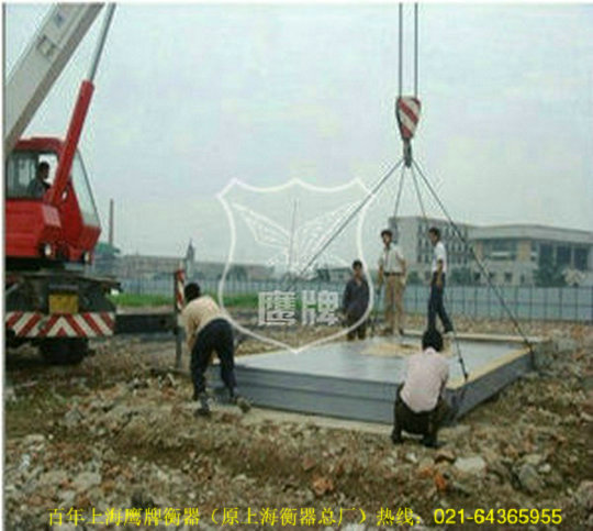 简单几招自检电子地磅 客户都说好用